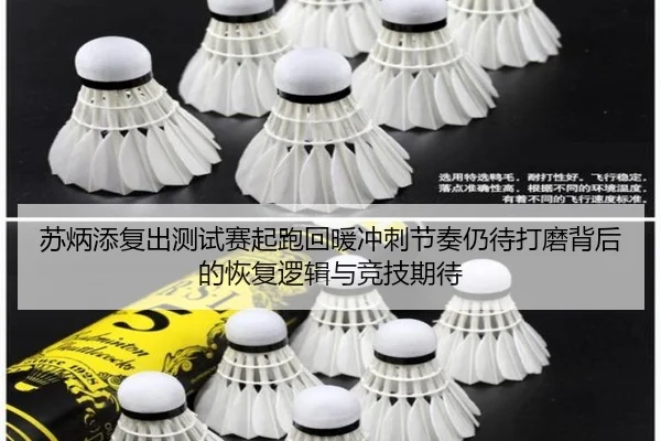 苏炳添复出测试赛起跑回暖冲刺节奏仍待打磨背后的恢复逻辑与竞技期待 | KAIYUN